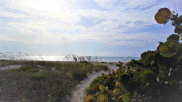 Rannalla, aurinkotuoleja, rantapyyhkeitä