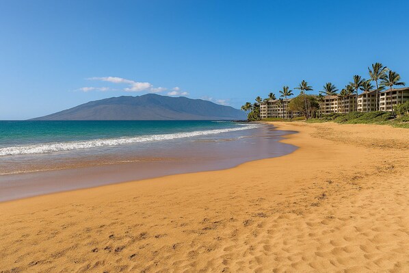 A beach with a mountain in the background, palm trees, and a hotel building.
