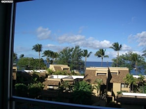 Stylish bungalows with flat roofs and balconies, nestled among lush tropical vegetation and offering scenic views.