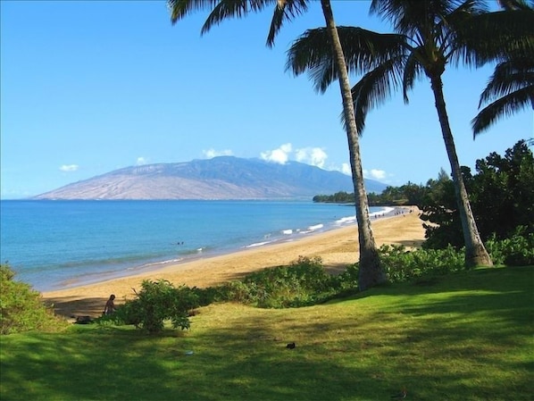 Enjoy a serene beach setting with ocean views and lush greenery.