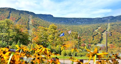 Stowe Mountain Lodge Ridgeline Studio - service de voiturier gratuit