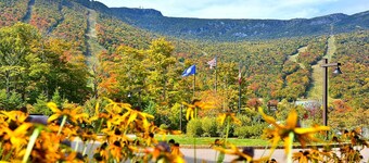 Studio 373: fireplace, a/c, & Spruce Peak amenities!