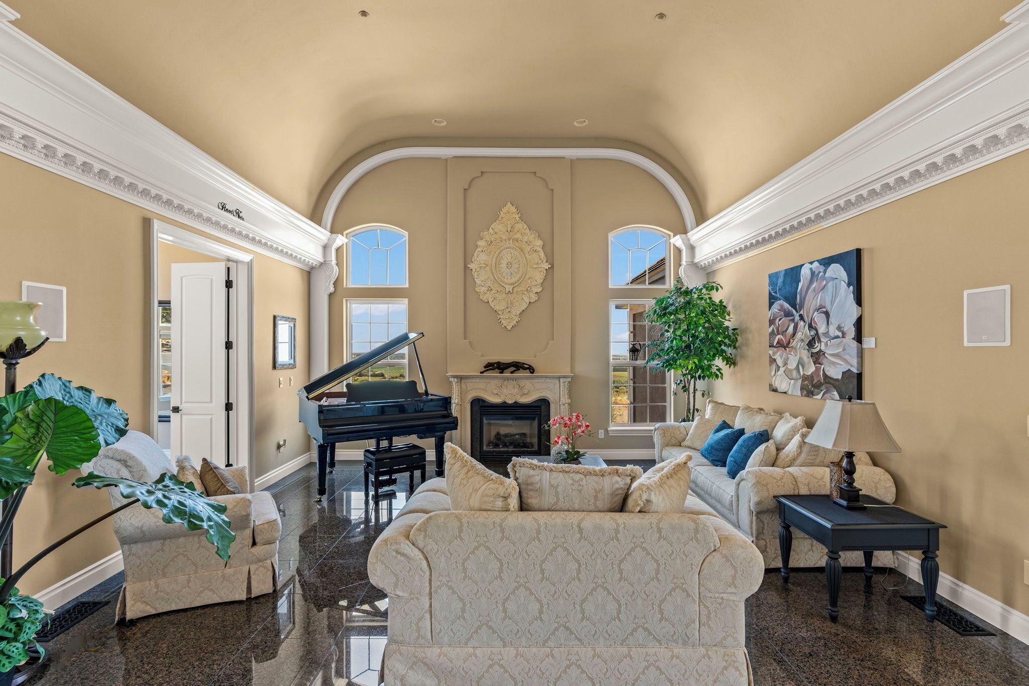 TV connectée, cheminée, livres