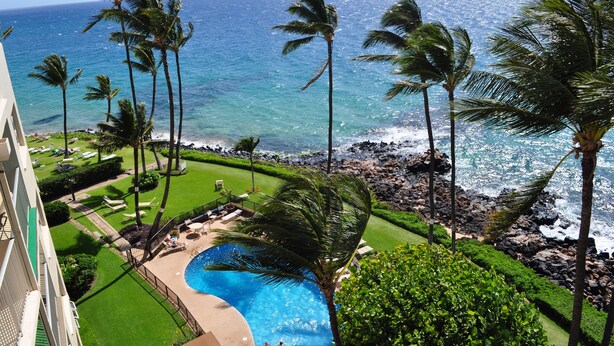 Un hotel con piscina, palmeras y vista al océano.