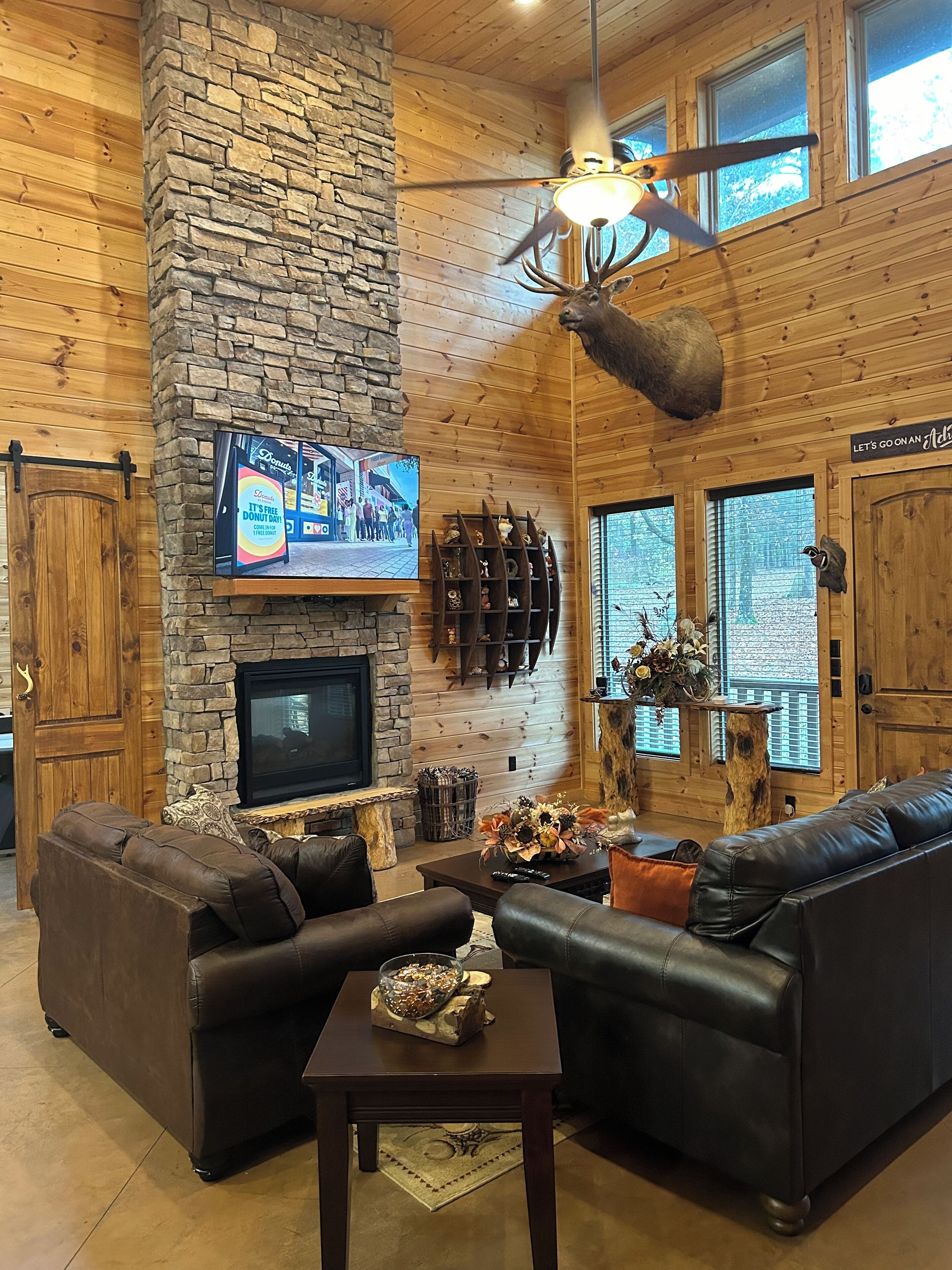 TV connectée, cheminée, jeux vidéo, lecteur de DVD