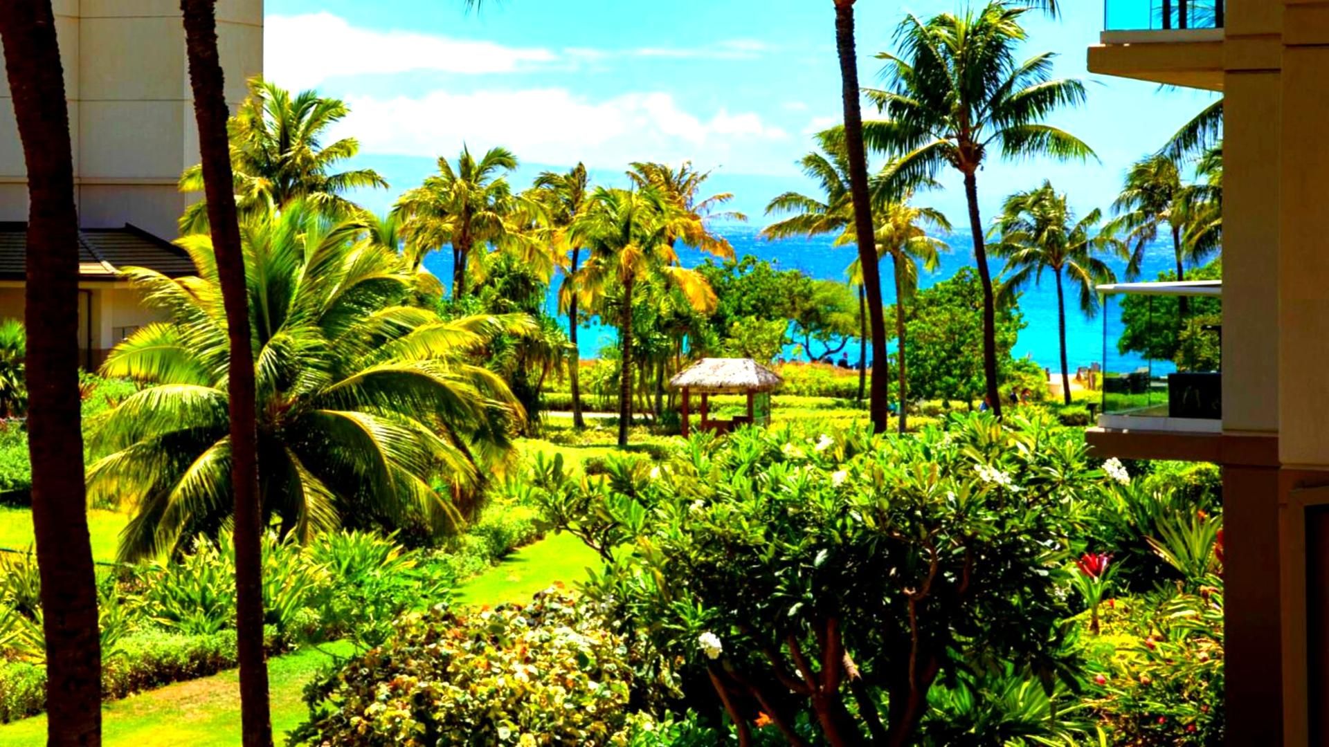 Un complexe hôtelier tropical doté de palmiers, d’une structure à toit de chaume et offrant une vue sur l’océan.