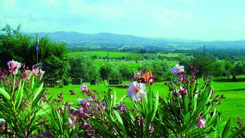 Quang cảnh nhìn từ nơi lưu trú