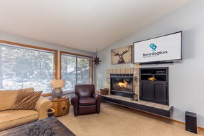 TV, fireplace, video games, DVD player
