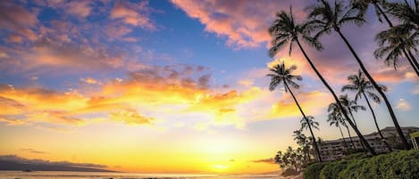Uma praia com palmeiras e um pôr do sol.