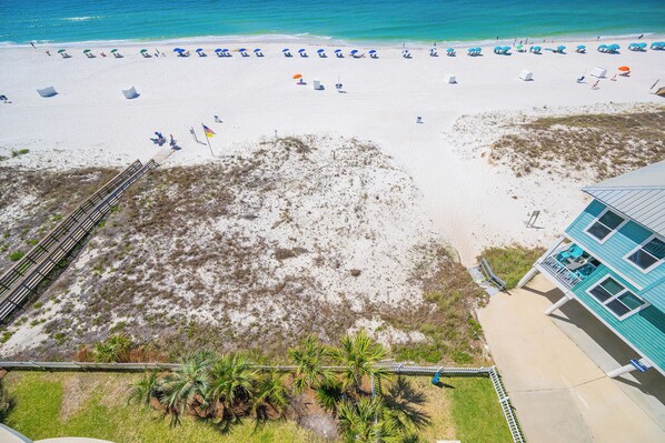 A beach with rows of sun loungers and umbrellas, a building with a blue exterior, and a palm tree-lined walkway. - Beach Front Condo! 2 BR @ Royal Palms! Yes, it is On The BEACH! (Gulf Shores)