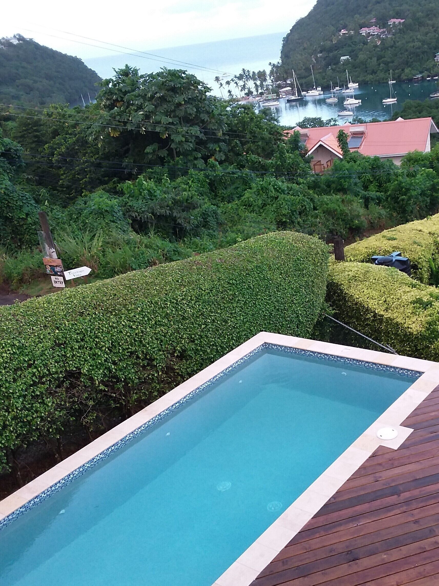 Una piscina rectangular con plataforma de madera, rodeada de setos cuidados y abundante vegetación.