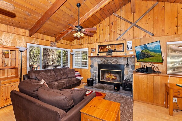 TV, fireplace, video library