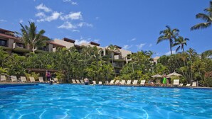 A hotel pool area with clear blue water, surrounded by palm trees and lounge chairs.