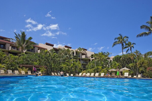 Outdoor pool, a heated pool