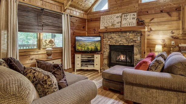 L’intérieur chaleureux d’un chalet avec une cheminée en pierre, des murs en bois et un téléviseur diffusant un paysage pittoresque.