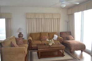 TV, DVD player, books, video library