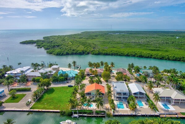 Unclassified image, 1 of 50, button