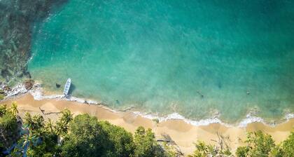 Casa Koda Jungle & Beachfront Home