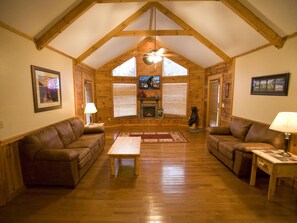 TV, fireplace, DVD player