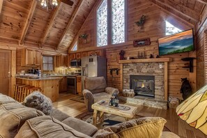 TV, fireplace, DVD player