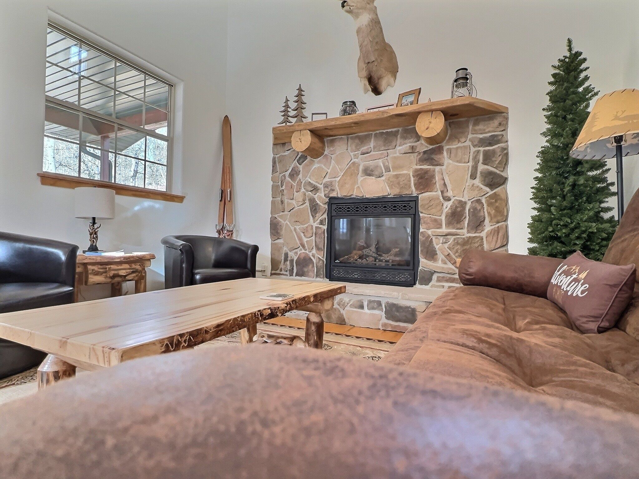 Smart TV, fireplace, Netflix, DVD player