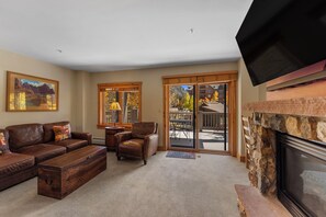 Télévision, cheminée, lecteur de DVD