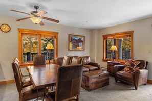 Télévision, cheminée, lecteur de DVD