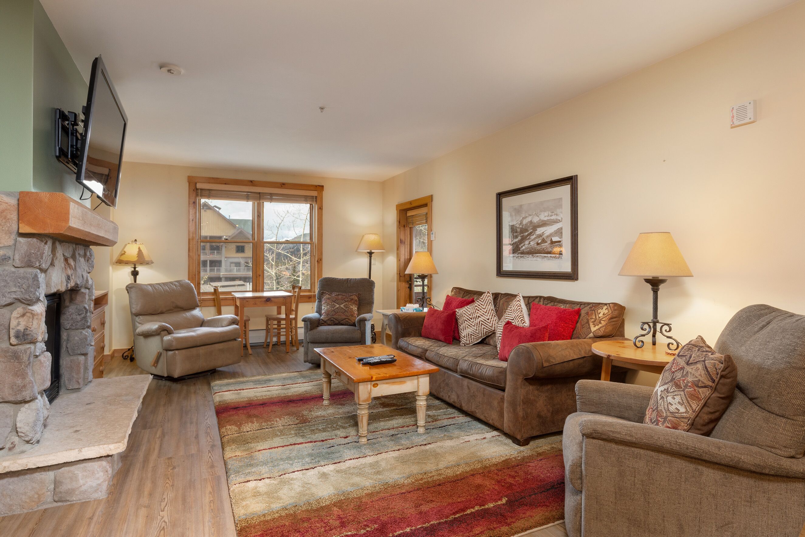 电视、壁炉、DVD 播放器