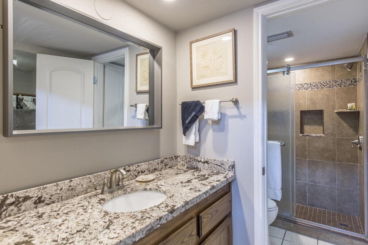 A bathroom with a granite countertop sink, a large mirror, a framed picture on the wall, and a shower area.