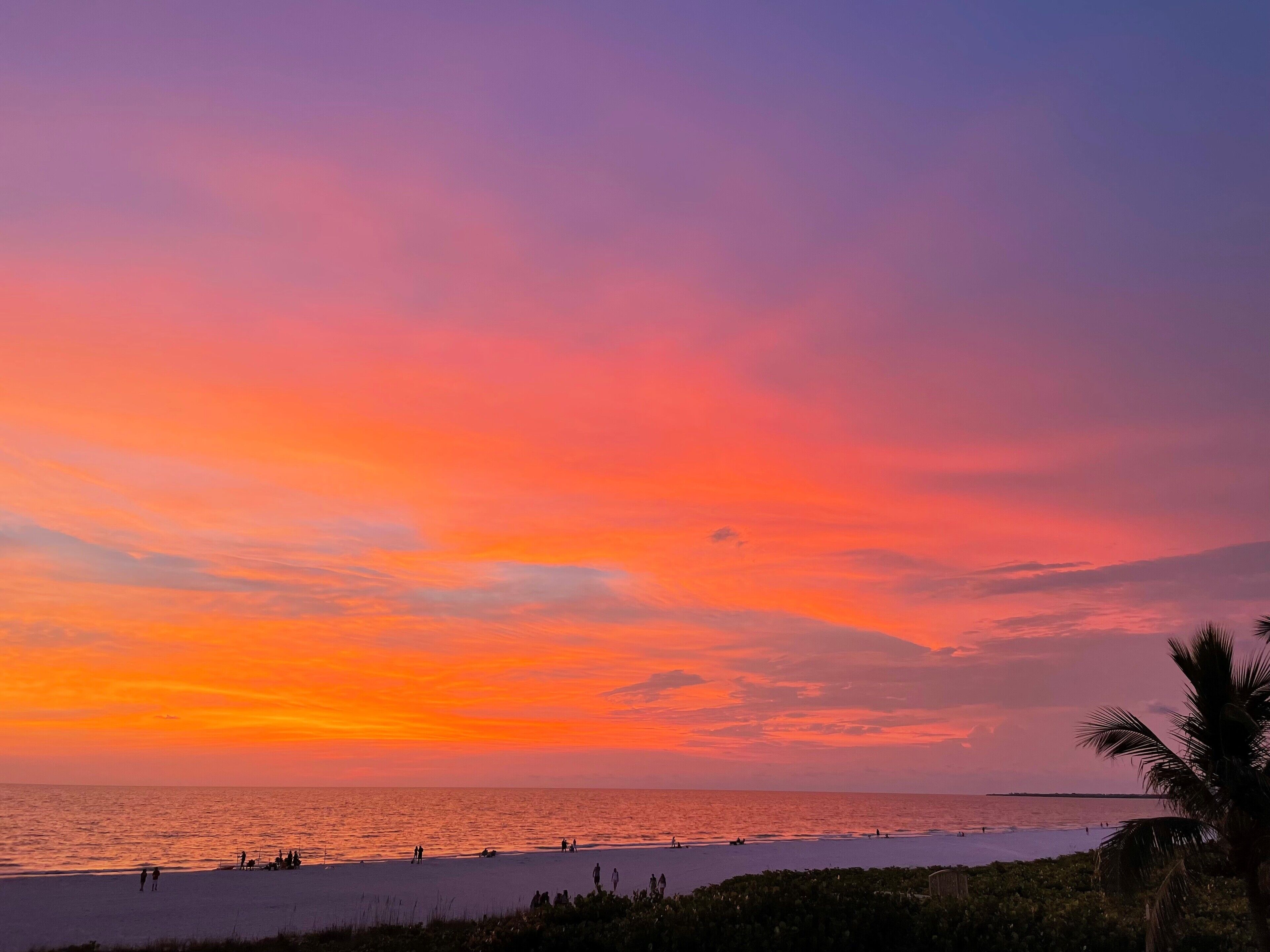 Remodeled Beachfront 1 Bed w/ Beautiful Gulf Views!