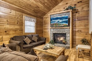 TV, fireplace, DVD player