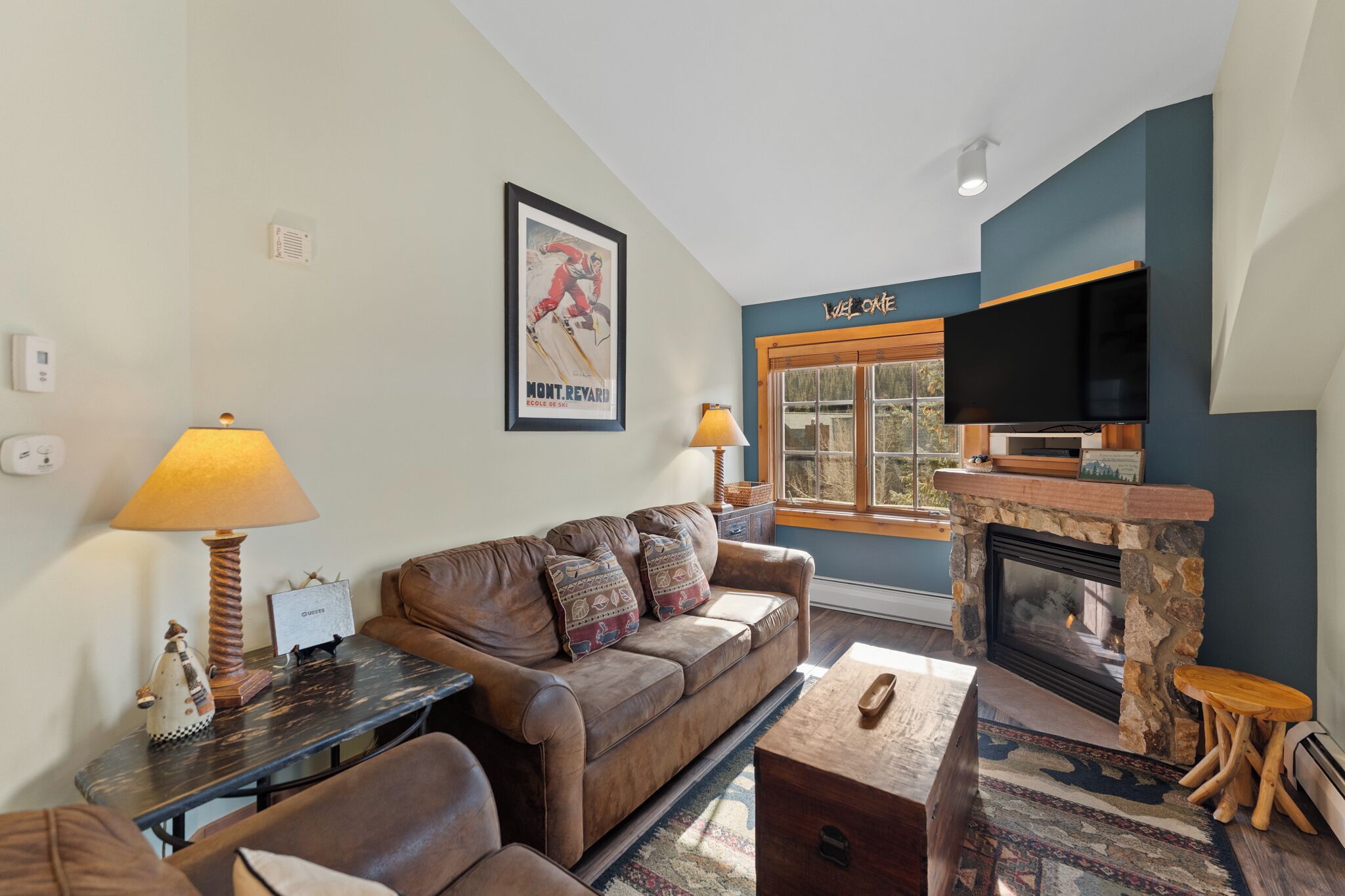 Flat-screen TV, fireplace, DVD player, books