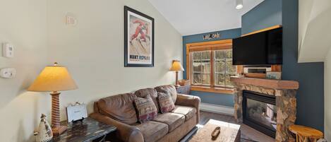 Flat-screen TV, fireplace, DVD player, books