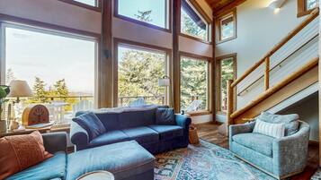 Télévision, lecteur de DVD, livres