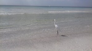 Unclassified image, 5 of 43, button