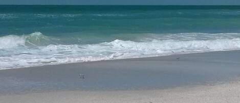 Playa en los alrededores