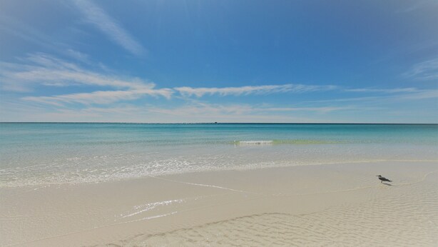 Une plage avec un oiseau sur le sable et un ciel dégagé.