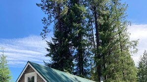 Une petite cabane avec un toit en métal vert, une porte blanche et une enseigne indiquant « Cabane de Patel ».