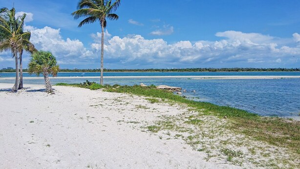 Une plage de sable blanc, bordée de palmiers, sous un ciel bleu et dégagé.