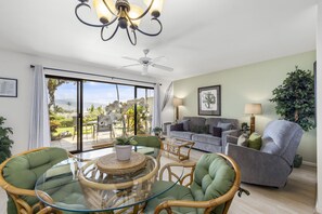 Televisio, DVD-soitin