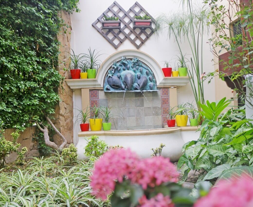 Foto - Hotel By Armonía Santa Cruz