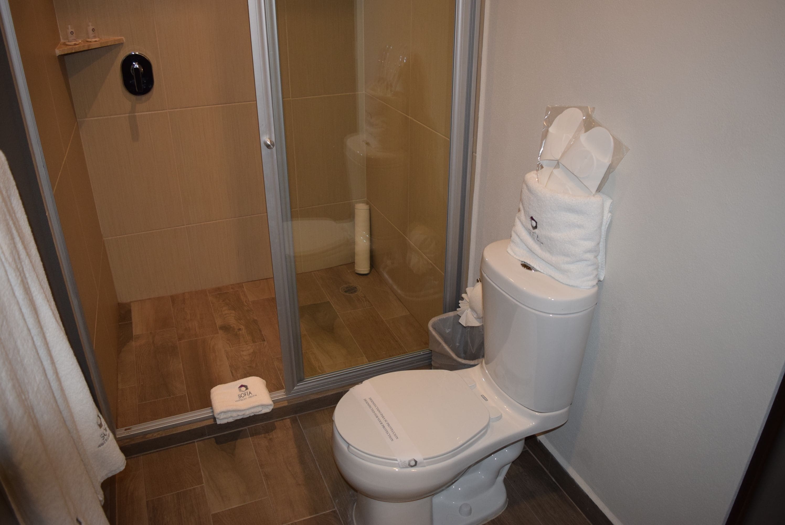 A bathroom with a toilet, a glass shower enclosure, and a towel rack.