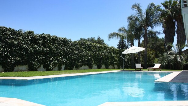 Une piscine rectangulaire avec une terrasse carrelée, entourée d’une haie basse et de palmiers.
