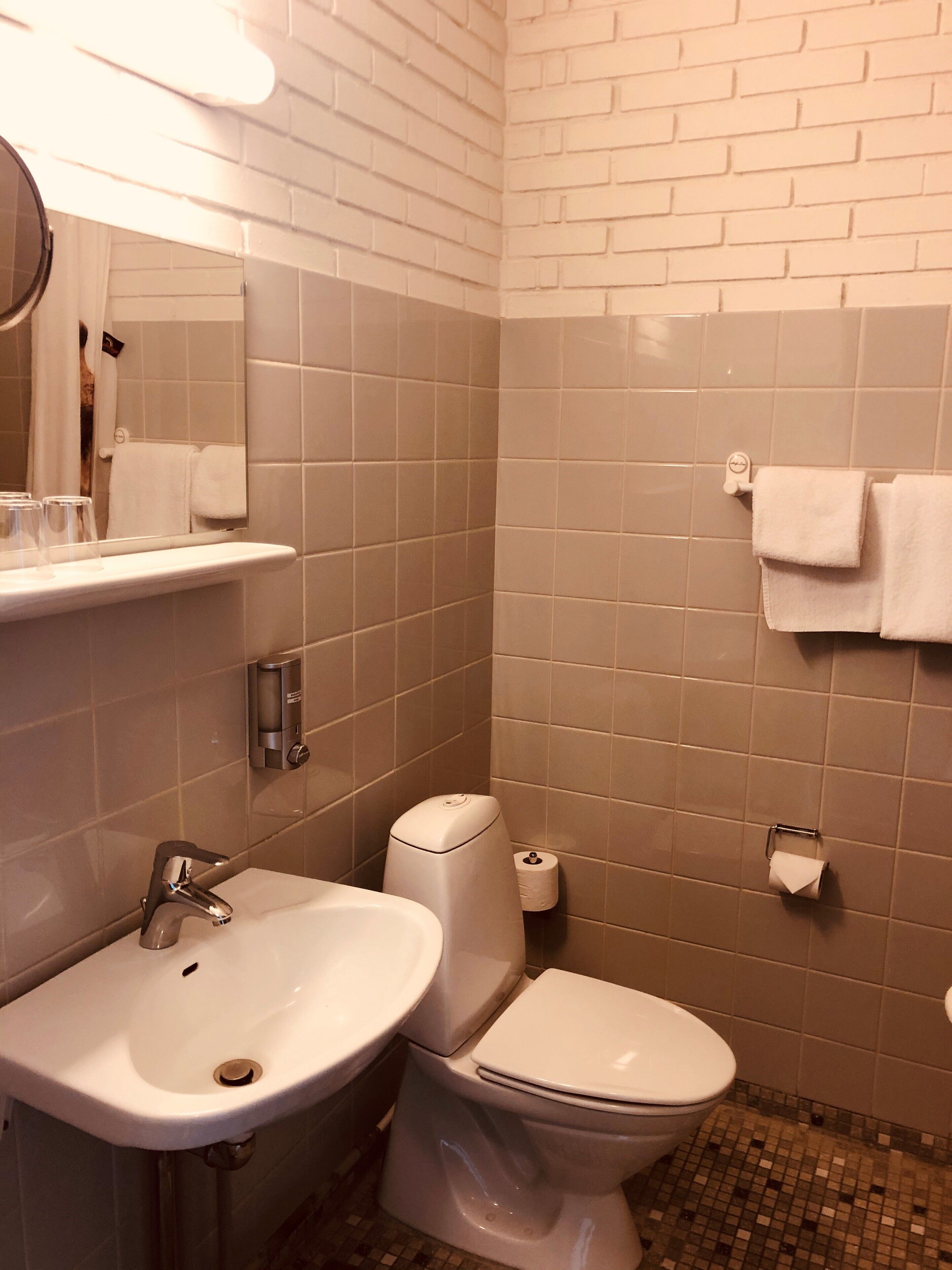 basic single room, 1 single bed, terrace | bathroom | shower, rainfall showerhead, towels, soap