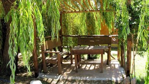 En träbänk under en pergola med hängande pilgrenar, omgiven av träd och en stenlagd gång.