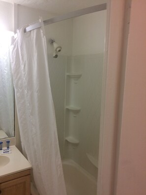 Economy House | Bathroom shower - Hollywood Beach Resort-spacious Ocean View Studio (Hollywood)