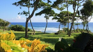 A lush garden with tropical plants and trees, leading to a view of the ocean. - Family Oriented - Private Beach & Horse Stables - Ocean, Pool, & Hot Tub (Cabrera)