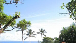 A thatched-roof hut surrounded by lush greenery and a view of the ocean. - Villa Cabino (Cabrera)