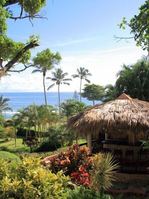 Utsikt fra overnattingsstedet