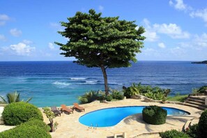 A pool area with a view of the ocean, surrounded by greenery and a tree.